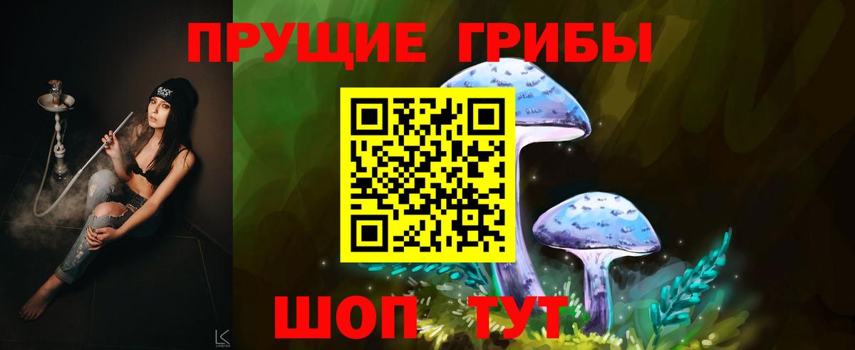 Галлюциногенные грибы мухоморы Каспийск
