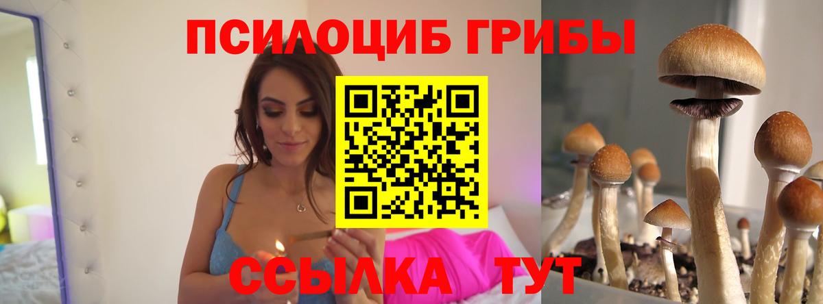 Псилоцибиновые грибы ЛСД  купить  цена  Каспийск  Вход с VPN 