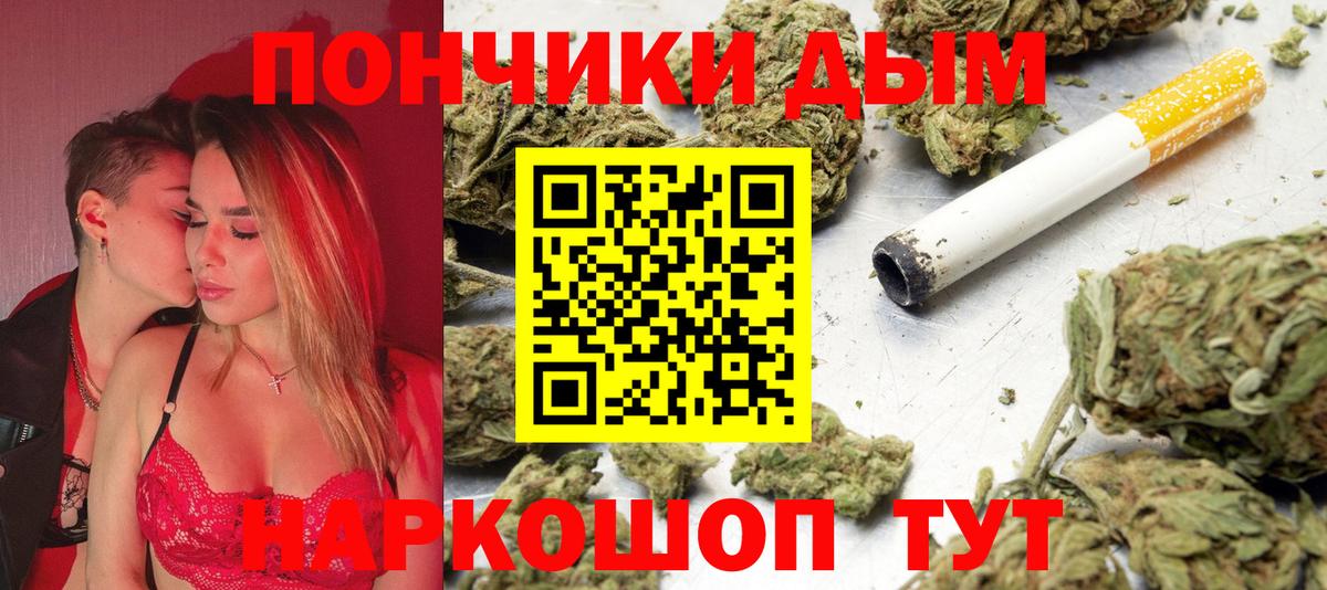 МАРИХУАНА сатива Каспийск